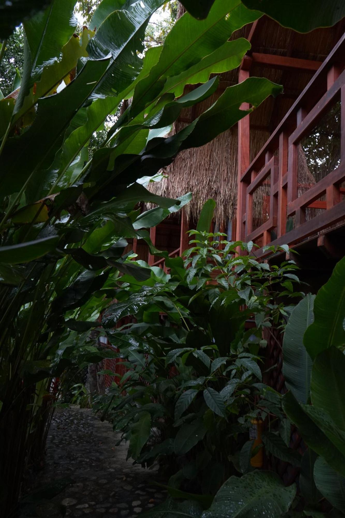 Bio Rio Hotel San Jerónimo Екстериор снимка